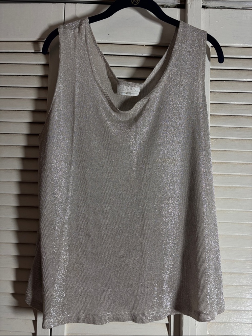Shimmery Silver Sleeveless Camisole